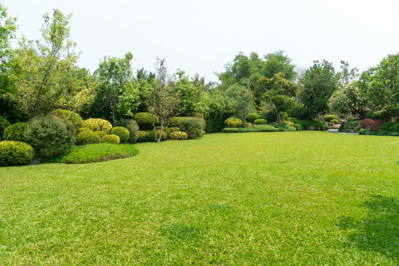 Xeriscape Landscaping