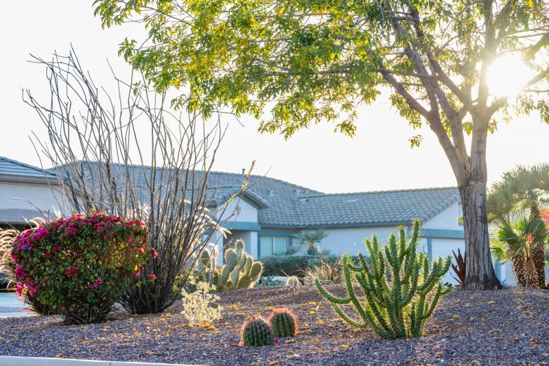 Cost of Xeriscape Landscaping — Cost of Xeriscape Landscaping
