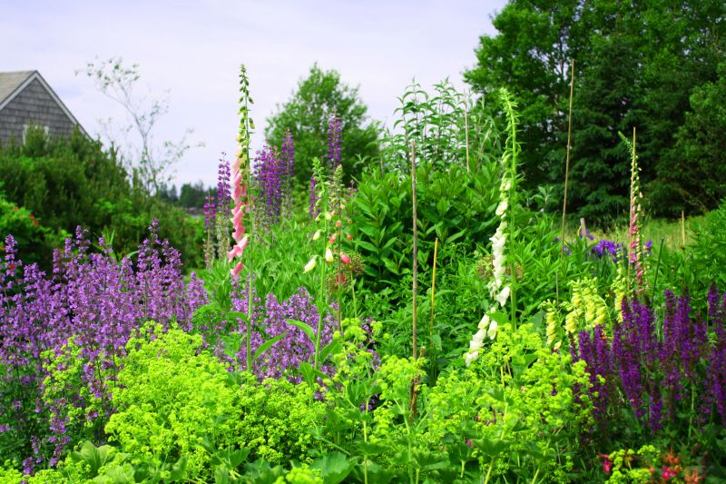 Cost of Xeriscape Landscaping — Cost of Xeriscape Landscaping