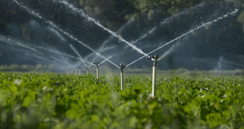 Irrigation Specialists