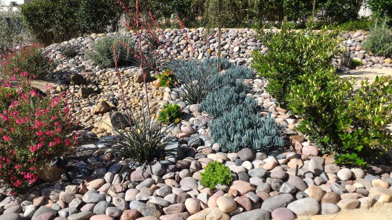 Xeriscape Landscaping