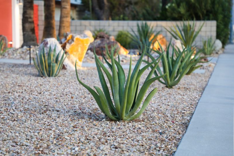 Xeriscape Hardscaping