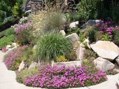 Add Color and Curb Appeal!