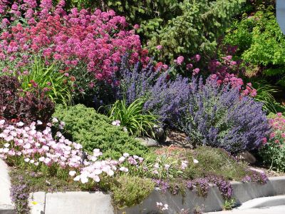 Design Outdoor Spaces!
