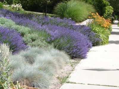 Great for Water Conservation!